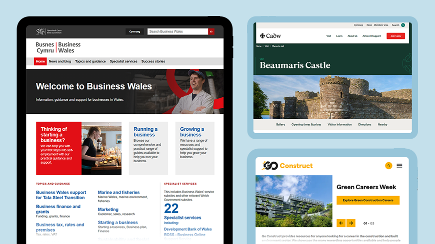 Examples of our work